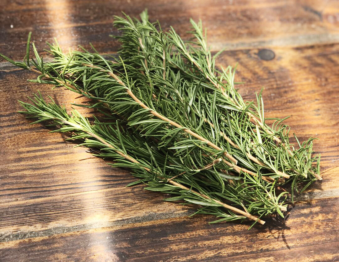 A rozmaring – Az erdő frissessége a konyhában